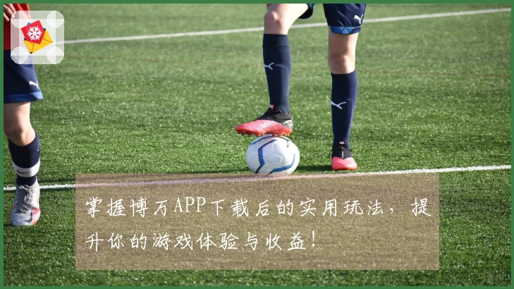 掌握博万APP下载后的实用玩法，提升你的游戏体验与收益！