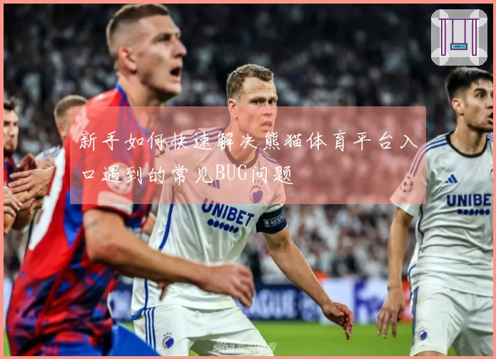 新手如何快速解决熊猫体育平台入口遇到的常见BUG问题