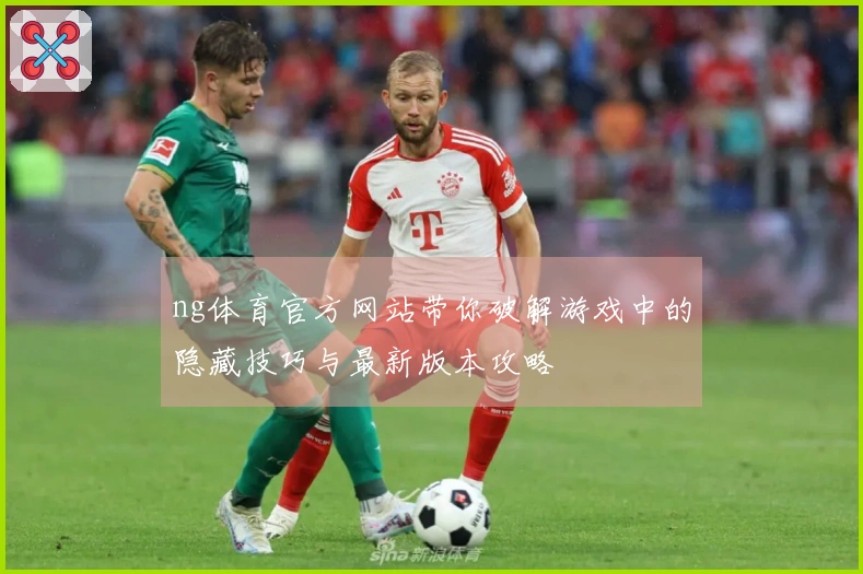 ng体育官方网站带你破解游戏中的隐藏技巧与最新版本攻略