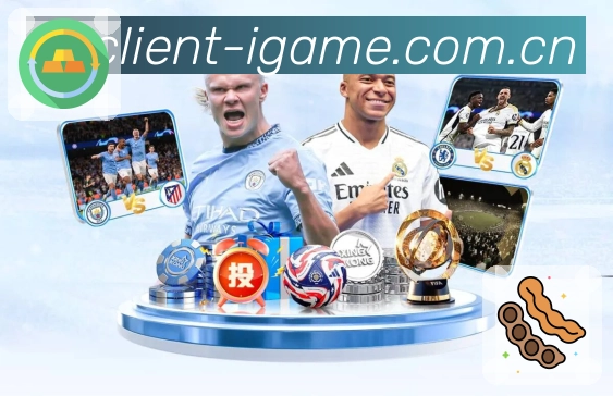 <strong>爱游戏</strong>审计追踪与复核